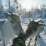 酒店 Northern Lights Ranch
