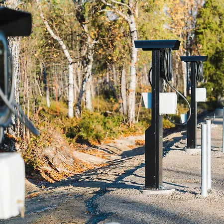 Northern Lights Ranch Levi