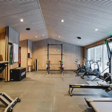 Northern Lights Ranch فندق ليفي