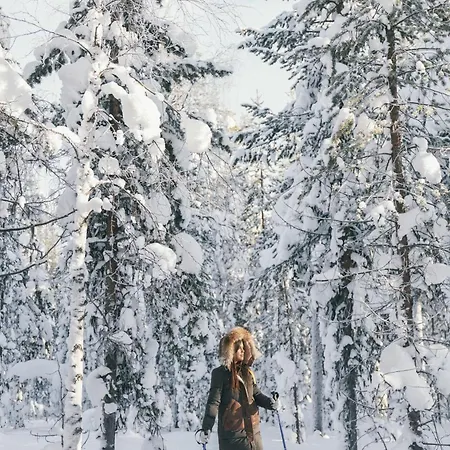 Northern Lights Ranch 5*