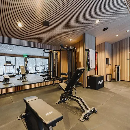 Northern Lights Ranch Hotel Levi