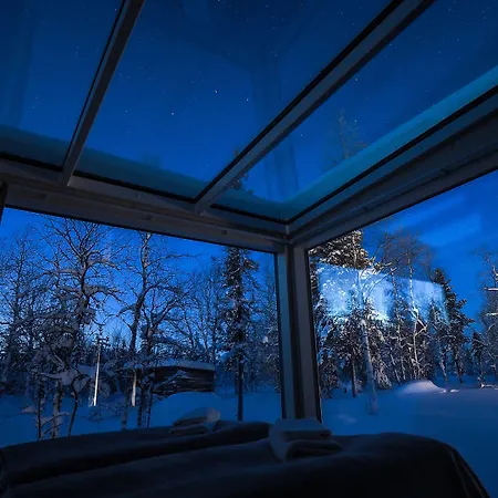 Northern Lights Ranch Levi