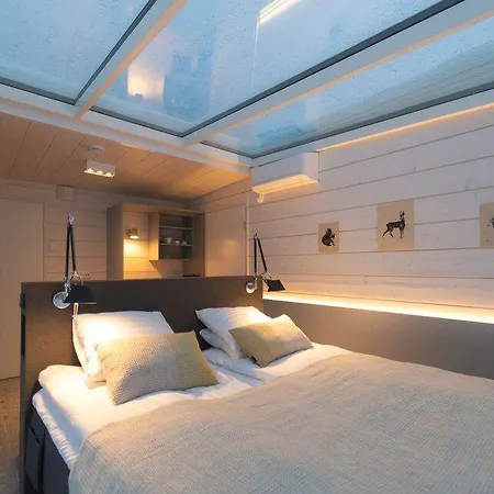 Northern Lights Ranch 5* Levi