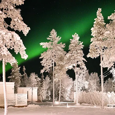 Northern Lights Ranch Levi