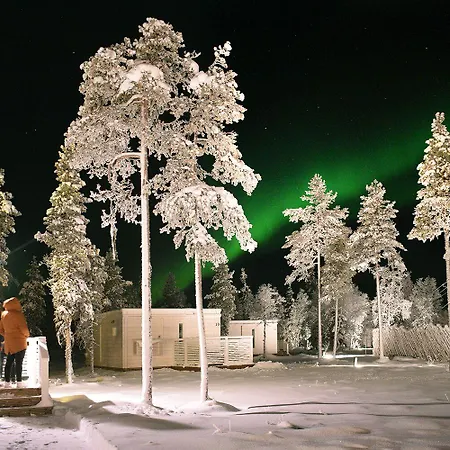 Northern Lights Ranch Levi