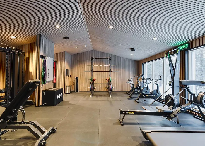 Northern Lights Ranch فندق ليفي