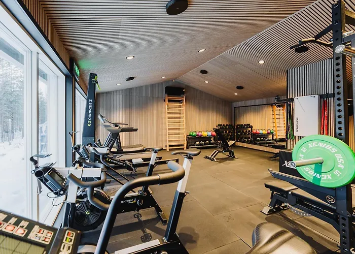 Northern Lights Ranch Levi