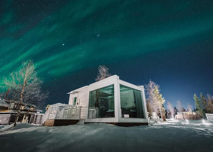 Northern Lights Ranch فندق ليفي