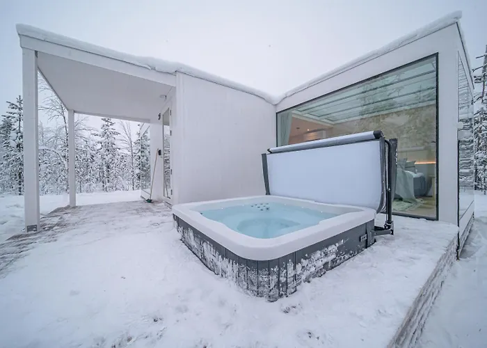 Northern Lights Ranch فندق ليفي