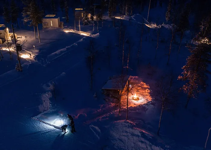 Northern Lights Ranch فندق ليفي