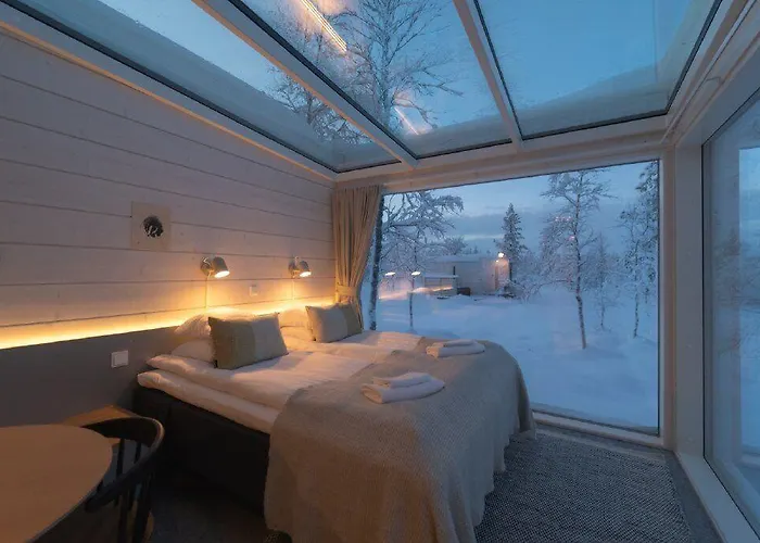 Northern Lights Ranch Levi