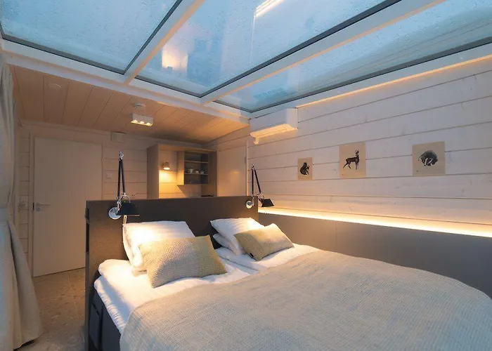 Northern Lights Ranch 5* ليفي