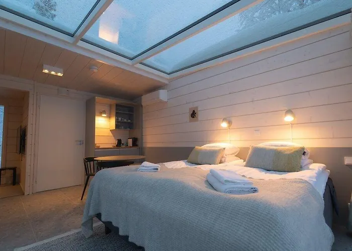 Northern Lights Ranch 5* Levi