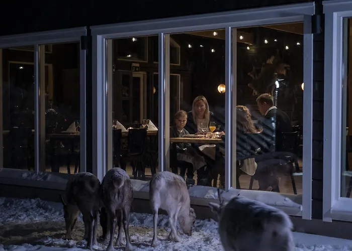 Northern Lights Ranch فندق ليفي